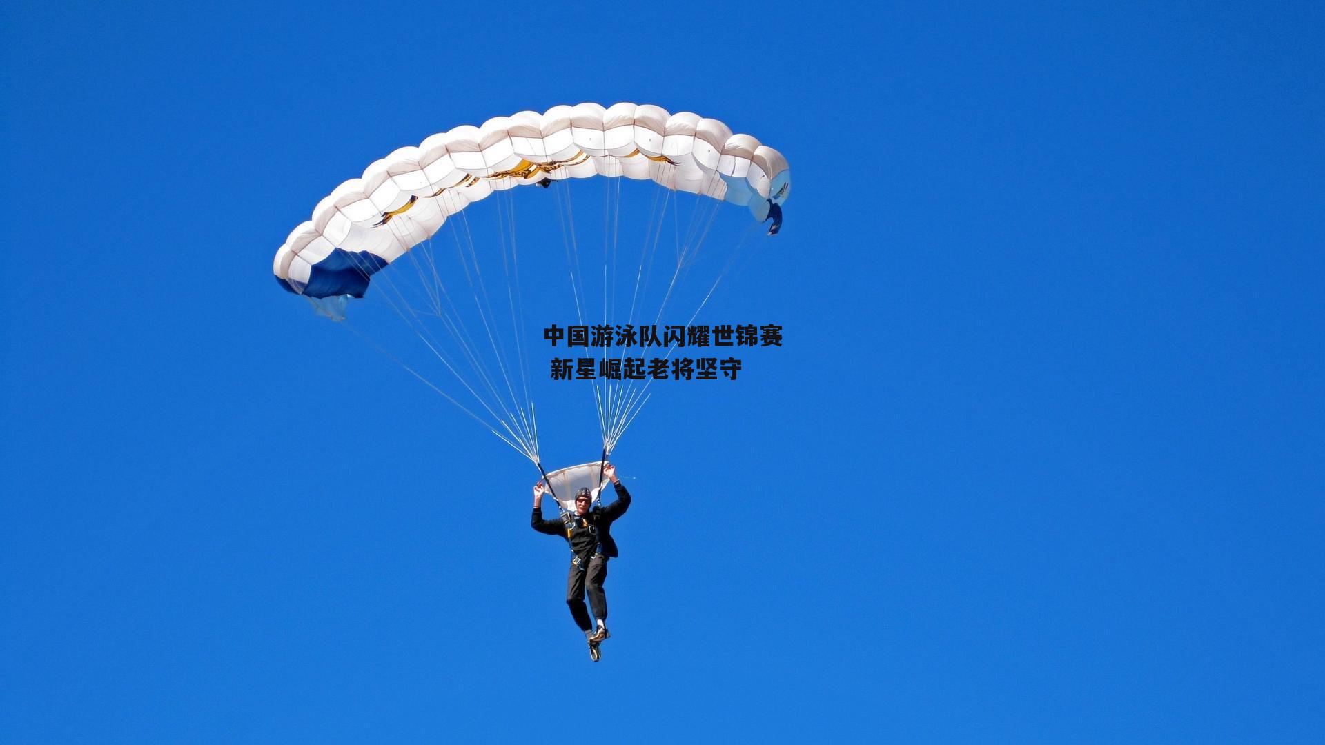 中国游泳队闪耀世锦赛 新星崛起老将坚守