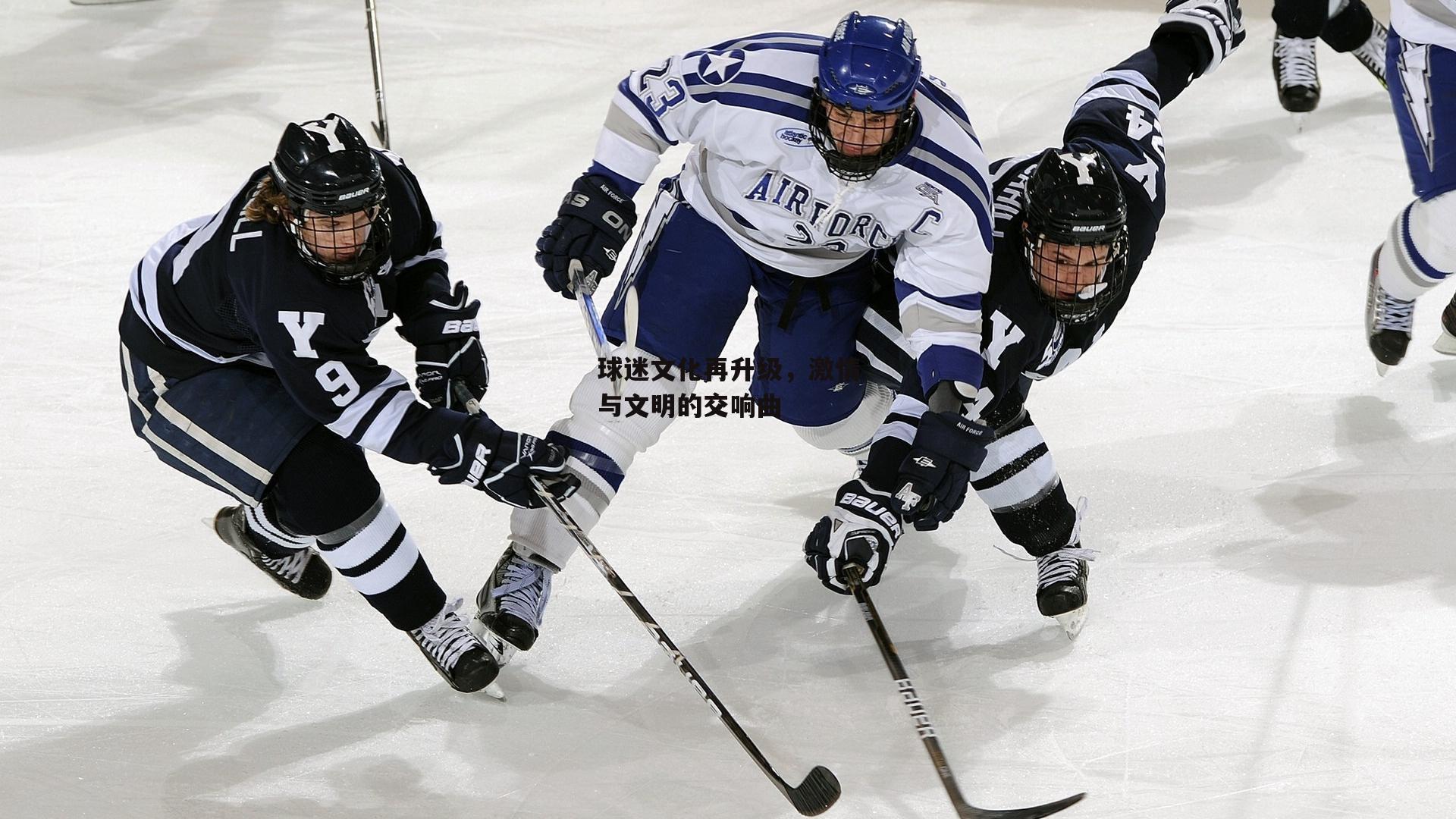 球迷文化再升级,激情与文明的交响曲